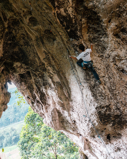 Climbing Cult Member